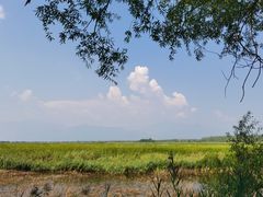 -野鸭湖国家湿地公园