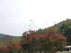 -苏州环秀晓筑养生度假村