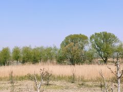 -野鸭湖国家湿地公园