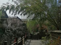 -诗经里