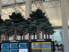 -广州白云国际机场-T1航站楼
