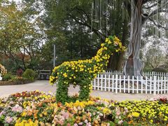 -南山植物园