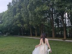 -东湖落雁景区