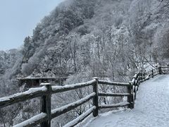 -少华山国家森林公园