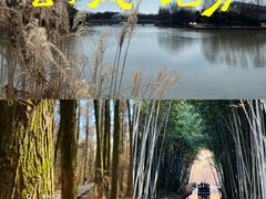 -同里国家湿地公园