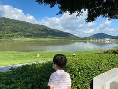 -风云岭森林公园