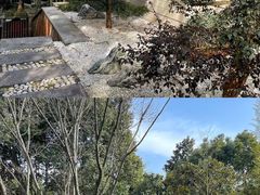 -天目湖涵田半山温泉
