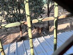 -中华郡文化旅游景区