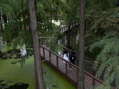 -青山湖景区