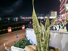 -花乐餐厅(涠洲岛店)