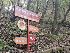 -五女山景区