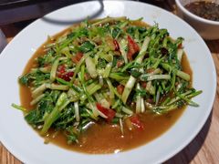-滇铺子·云南特色菜·第九届野生菌美食节(东风东路c86店)