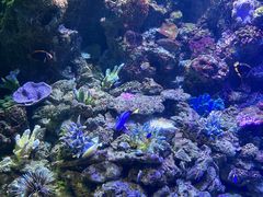 -大连老虎滩海洋公园