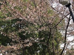 -堤角公园