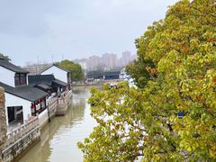 -枫桥景区