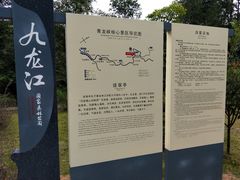 -九龙江国家森林公园