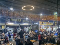 -杨合林啊兰烤鱼