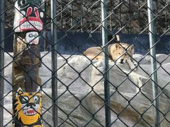 -大连森林动物园