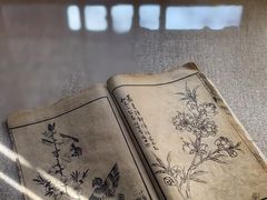 -芥子园