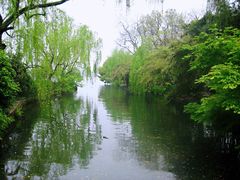 -西溪国家湿地公园