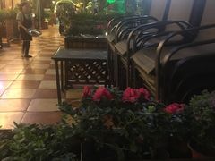-川道拐耗儿鱼(旗舰店)