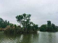 -白鹭湾湿地公园