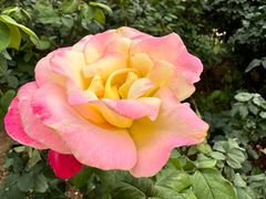 -人民公园(罗湖区)