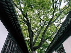 -上海醉白池公园