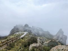 -白草畔自然风景区