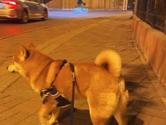 -东方之珠洗浴休闲广场(南开店)