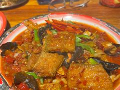 -柴窝堡22号辣子鸡·传承新疆菜