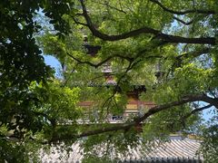 -常熟方塔园