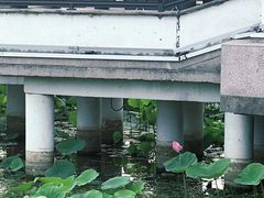 -云龙湖旅游景区