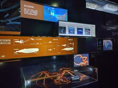 -同济大学四平路校区深海探索馆