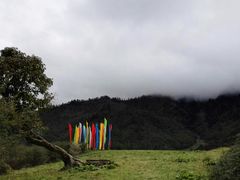 -硗碛藏寨·神木垒景区