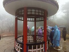 -庐山风景区花径公园