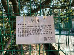 -树山生态村