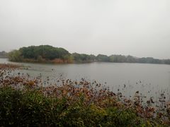 -上海市保健医疗中心