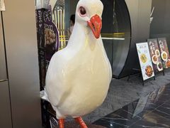 -琬苑鸽庄·川粤融合菜(解放碑总店)