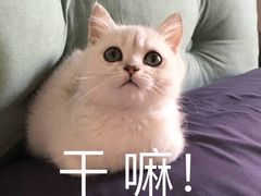 -满记甜品(万象城店)