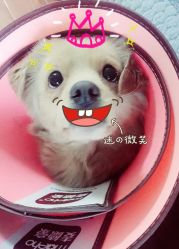 -HG美发设计沙龙