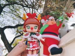 -泡泡玛特POPMART(天环购物中心店)