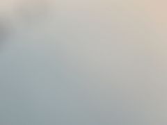 -华豫川酒家(双子塔店)