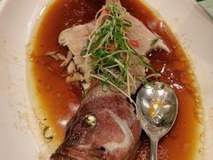 红星斑-庄隐阁(悠方广场店)