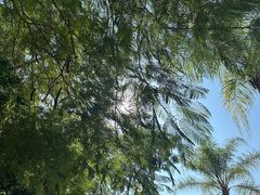 -鼓浪屿内厝澳码头(轮渡站)