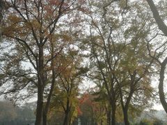 -东湖磨山景区