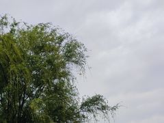 -渤公岛生态公园