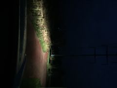iphone_upload_pic-洨河生态公园