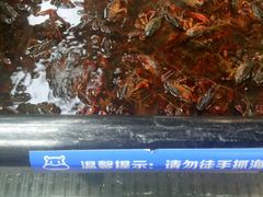 -盒马渔市餐厅