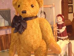 -济州岛泰迪熊博物馆